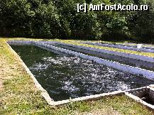 [P21] pestii..mancand » foto by guesswhoo*
 - 
<span class="allrVoted glyphicon glyphicon-heart hidden" id="av240066"></span>
<a class="m-l-10 hidden" id="sv240066" onclick="voting_Foto_DelVot(,240066,7879)" role="button">șterge vot <span class="glyphicon glyphicon-remove"></span></a>
<a id="v9240066" class=" c-red"  onclick="voting_Foto_SetVot(240066)" role="button"><span class="glyphicon glyphicon-heart-empty"></span> <b>LIKE</b> = Votează poza</a> <img class="hidden"  id="f240066W9" src="/imagini/loader.gif" border="0" /><span class="AjErrMes hidden" id="e240066ErM"></span>