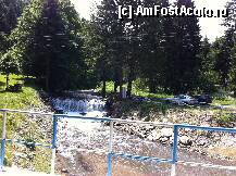 [P06]  -- <small>// FĂRĂ DESCRIERE</small> » foto by guesswhoo*
 - 
<span class="allrVoted glyphicon glyphicon-heart hidden" id="av240051"></span>
<a class="m-l-10 hidden" id="sv240051" onclick="voting_Foto_DelVot(,240051,7879)" role="button">șterge vot <span class="glyphicon glyphicon-remove"></span></a>
<a id="v9240051" class=" c-red"  onclick="voting_Foto_SetVot(240051)" role="button"><span class="glyphicon glyphicon-heart-empty"></span> <b>LIKE</b> = Votează poza</a> <img class="hidden"  id="f240051W9" src="/imagini/loader.gif" border="0" /><span class="AjErrMes hidden" id="e240051ErM"></span>