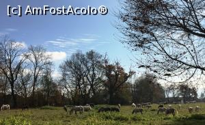 [P03] Pe l&acirc;ngă herghelia de la S&icirc;mbăta » foto by AZE
 - 
<span class="allrVoted glyphicon glyphicon-heart hidden" id="av1213185"></span>
<a class="m-l-10 hidden" id="sv1213185" onclick="voting_Foto_DelVot(,1213185,7879)" role="button">șterge vot <span class="glyphicon glyphicon-remove"></span></a>
<a id="v91213185" class=" c-red"  onclick="voting_Foto_SetVot(1213185)" role="button"><span class="glyphicon glyphicon-heart-empty"></span> <b>LIKE</b> = Votează poza</a> <img class="hidden"  id="f1213185W9" src="/imagini/loader.gif" border="0" /><span class="AjErrMes hidden" id="e1213185ErM"></span>