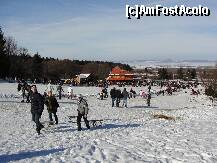 [P18] Partia de sanius » foto by dananecula*
 - 
<span class="allrVoted glyphicon glyphicon-heart hidden" id="av186774"></span>
<a class="m-l-10 hidden" id="sv186774" onclick="voting_Foto_DelVot(,186774,7879)" role="button">șterge vot <span class="glyphicon glyphicon-remove"></span></a>
<a id="v9186774" class=" c-red"  onclick="voting_Foto_SetVot(186774)" role="button"><span class="glyphicon glyphicon-heart-empty"></span> <b>LIKE</b> = Votează poza</a> <img class="hidden"  id="f186774W9" src="/imagini/loader.gif" border="0" /><span class="AjErrMes hidden" id="e186774ErM"></span>