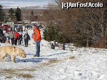 [P22] Catelul jucaus de pe partie » foto by dananecula*
 - 
<span class="allrVoted glyphicon glyphicon-heart hidden" id="av187155"></span>
<a class="m-l-10 hidden" id="sv187155" onclick="voting_Foto_DelVot(,187155,7879)" role="button">șterge vot <span class="glyphicon glyphicon-remove"></span></a>
<a id="v9187155" class=" c-red"  onclick="voting_Foto_SetVot(187155)" role="button"><span class="glyphicon glyphicon-heart-empty"></span> <b>LIKE</b> = Votează poza</a> <img class="hidden"  id="f187155W9" src="/imagini/loader.gif" border="0" /><span class="AjErrMes hidden" id="e187155ErM"></span>