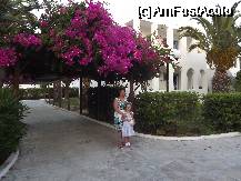 [P01] Flori si verdeata peste tot in cadrul resortului » foto by egurlui
 - 
<span class="allrVoted glyphicon glyphicon-heart hidden" id="av333082"></span>
<a class="m-l-10 hidden" id="sv333082" onclick="voting_Foto_DelVot(,333082,7881)" role="button">șterge vot <span class="glyphicon glyphicon-remove"></span></a>
<a id="v9333082" class=" c-red"  onclick="voting_Foto_SetVot(333082)" role="button"><span class="glyphicon glyphicon-heart-empty"></span> <b>LIKE</b> = Votează poza</a> <img class="hidden"  id="f333082W9" src="/imagini/loader.gif" border="0" /><span class="AjErrMes hidden" id="e333082ErM"></span>