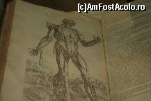 [P10] muzeul de antropologie si arheologie - expozitia dedicata corpului uman » foto by irma_ro*
 - 
<span class="allrVoted glyphicon glyphicon-heart hidden" id="av161852"></span>
<a class="m-l-10 hidden" id="sv161852" onclick="voting_Foto_DelVot(,161852,7883)" role="button">șterge vot <span class="glyphicon glyphicon-remove"></span></a>
<a id="v9161852" class=" c-red"  onclick="voting_Foto_SetVot(161852)" role="button"><span class="glyphicon glyphicon-heart-empty"></span> <b>LIKE</b> = Votează poza</a> <img class="hidden"  id="f161852W9" src="/imagini/loader.gif" border="0" /><span class="AjErrMes hidden" id="e161852ErM"></span>