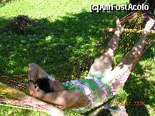 [P10] Un moment de relaxare ...in curtea 'Ruxandrei' » foto by raoulp55
 - 
<span class="allrVoted glyphicon glyphicon-heart hidden" id="av156839"></span>
<a class="m-l-10 hidden" id="sv156839" onclick="voting_Foto_DelVot(,156839,7888)" role="button">șterge vot <span class="glyphicon glyphicon-remove"></span></a>
<a id="v9156839" class=" c-red"  onclick="voting_Foto_SetVot(156839)" role="button"><span class="glyphicon glyphicon-heart-empty"></span> <b>LIKE</b> = Votează poza</a> <img class="hidden"  id="f156839W9" src="/imagini/loader.gif" border="0" /><span class="AjErrMes hidden" id="e156839ErM"></span>