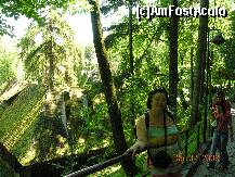 [P12] Pe aleea ce urca spre castel , la Bran ... » foto by raoulp55
 - 
<span class="allrVoted glyphicon glyphicon-heart hidden" id="av157006"></span>
<a class="m-l-10 hidden" id="sv157006" onclick="voting_Foto_DelVot(,157006,7888)" role="button">șterge vot <span class="glyphicon glyphicon-remove"></span></a>
<a id="v9157006" class=" c-red"  onclick="voting_Foto_SetVot(157006)" role="button"><span class="glyphicon glyphicon-heart-empty"></span> <b>LIKE</b> = Votează poza</a> <img class="hidden"  id="f157006W9" src="/imagini/loader.gif" border="0" /><span class="AjErrMes hidden" id="e157006ErM"></span>