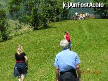 [P08] Frumoase sunt cararile prieteniei .. » foto by raoulp55
 - 
<span class="allrVoted glyphicon glyphicon-heart hidden" id="av156837"></span>
<a class="m-l-10 hidden" id="sv156837" onclick="voting_Foto_DelVot(,156837,7888)" role="button">șterge vot <span class="glyphicon glyphicon-remove"></span></a>
<a id="v9156837" class=" c-red"  onclick="voting_Foto_SetVot(156837)" role="button"><span class="glyphicon glyphicon-heart-empty"></span> <b>LIKE</b> = Votează poza</a> <img class="hidden"  id="f156837W9" src="/imagini/loader.gif" border="0" /><span class="AjErrMes hidden" id="e156837ErM"></span>