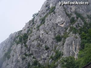 [P04] Verdeata care a razbit prin piatra.  » foto by liviu49
 - 
<span class="allrVoted glyphicon glyphicon-heart hidden" id="av617678"></span>
<a class="m-l-10 hidden" id="sv617678" onclick="voting_Foto_DelVot(,617678,7892)" role="button">șterge vot <span class="glyphicon glyphicon-remove"></span></a>
<a id="v9617678" class=" c-red"  onclick="voting_Foto_SetVot(617678)" role="button"><span class="glyphicon glyphicon-heart-empty"></span> <b>LIKE</b> = Votează poza</a> <img class="hidden"  id="f617678W9" src="/imagini/loader.gif" border="0" /><span class="AjErrMes hidden" id="e617678ErM"></span>