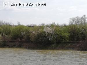 [P15] O alta parte a insulei » foto by fredutza
 - 
<span class="allrVoted glyphicon glyphicon-heart hidden" id="av960830"></span>
<a class="m-l-10 hidden" id="sv960830" onclick="voting_Foto_DelVot(,960830,7892)" role="button">șterge vot <span class="glyphicon glyphicon-remove"></span></a>
<a id="v9960830" class=" c-red"  onclick="voting_Foto_SetVot(960830)" role="button"><span class="glyphicon glyphicon-heart-empty"></span> <b>LIKE</b> = Votează poza</a> <img class="hidden"  id="f960830W9" src="/imagini/loader.gif" border="0" /><span class="AjErrMes hidden" id="e960830ErM"></span>