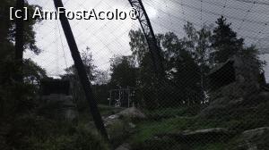[P18] grădina zoologica Korkeasaari » foto by elenaadina
 - 
<span class="allrVoted glyphicon glyphicon-heart hidden" id="av1407228"></span>
<a class="m-l-10 hidden" id="sv1407228" onclick="voting_Foto_DelVot(,1407228,7893)" role="button">șterge vot <span class="glyphicon glyphicon-remove"></span></a>
<a id="v91407228" class=" c-red"  onclick="voting_Foto_SetVot(1407228)" role="button"><span class="glyphicon glyphicon-heart-empty"></span> <b>LIKE</b> = Votează poza</a> <img class="hidden"  id="f1407228W9" src="/imagini/loader.gif" border="0" /><span class="AjErrMes hidden" id="e1407228ErM"></span>