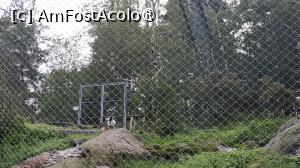[P22] grădina zoologica Korkeasaari » foto by elenaadina
 - 
<span class="allrVoted glyphicon glyphicon-heart hidden" id="av1407232"></span>
<a class="m-l-10 hidden" id="sv1407232" onclick="voting_Foto_DelVot(,1407232,7893)" role="button">șterge vot <span class="glyphicon glyphicon-remove"></span></a>
<a id="v91407232" class=" c-red"  onclick="voting_Foto_SetVot(1407232)" role="button"><span class="glyphicon glyphicon-heart-empty"></span> <b>LIKE</b> = Votează poza</a> <img class="hidden"  id="f1407232W9" src="/imagini/loader.gif" border="0" /><span class="AjErrMes hidden" id="e1407232ErM"></span>