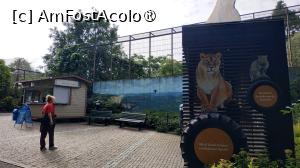 [P23] grădina zoologica Korkeasaari » foto by elenaadina
 - 
<span class="allrVoted glyphicon glyphicon-heart hidden" id="av1407233"></span>
<a class="m-l-10 hidden" id="sv1407233" onclick="voting_Foto_DelVot(,1407233,7893)" role="button">șterge vot <span class="glyphicon glyphicon-remove"></span></a>
<a id="v91407233" class=" c-red"  onclick="voting_Foto_SetVot(1407233)" role="button"><span class="glyphicon glyphicon-heart-empty"></span> <b>LIKE</b> = Votează poza</a> <img class="hidden"  id="f1407233W9" src="/imagini/loader.gif" border="0" /><span class="AjErrMes hidden" id="e1407233ErM"></span>
