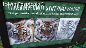 [P27] grădina zoologica Korkeasaari » foto by elenaadina
 - 
<span class="allrVoted glyphicon glyphicon-heart hidden" id="av1407237"></span>
<a class="m-l-10 hidden" id="sv1407237" onclick="voting_Foto_DelVot(,1407237,7893)" role="button">șterge vot <span class="glyphicon glyphicon-remove"></span></a>
<a id="v91407237" class=" c-red"  onclick="voting_Foto_SetVot(1407237)" role="button"><span class="glyphicon glyphicon-heart-empty"></span> <b>LIKE</b> = Votează poza</a> <img class="hidden"  id="f1407237W9" src="/imagini/loader.gif" border="0" /><span class="AjErrMes hidden" id="e1407237ErM"></span>