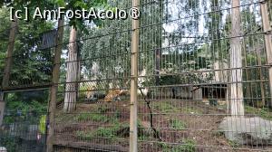 [P28] grădina zoologica Korkeasaari » foto by elenaadina
 - 
<span class="allrVoted glyphicon glyphicon-heart hidden" id="av1407238"></span>
<a class="m-l-10 hidden" id="sv1407238" onclick="voting_Foto_DelVot(,1407238,7893)" role="button">șterge vot <span class="glyphicon glyphicon-remove"></span></a>
<a id="v91407238" class=" c-red"  onclick="voting_Foto_SetVot(1407238)" role="button"><span class="glyphicon glyphicon-heart-empty"></span> <b>LIKE</b> = Votează poza</a> <img class="hidden"  id="f1407238W9" src="/imagini/loader.gif" border="0" /><span class="AjErrMes hidden" id="e1407238ErM"></span>