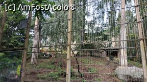 [P29] grădina zoologica Korkeasaari » foto by elenaadina
 - 
<span class="allrVoted glyphicon glyphicon-heart hidden" id="av1407239"></span>
<a class="m-l-10 hidden" id="sv1407239" onclick="voting_Foto_DelVot(,1407239,7893)" role="button">șterge vot <span class="glyphicon glyphicon-remove"></span></a>
<a id="v91407239" class=" c-red"  onclick="voting_Foto_SetVot(1407239)" role="button"><span class="glyphicon glyphicon-heart-empty"></span> <b>LIKE</b> = Votează poza</a> <img class="hidden"  id="f1407239W9" src="/imagini/loader.gif" border="0" /><span class="AjErrMes hidden" id="e1407239ErM"></span>