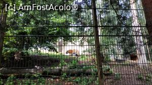 [P30] grădina zoologica Korkeasaari » foto by elenaadina
 - 
<span class="allrVoted glyphicon glyphicon-heart hidden" id="av1407240"></span>
<a class="m-l-10 hidden" id="sv1407240" onclick="voting_Foto_DelVot(,1407240,7893)" role="button">șterge vot <span class="glyphicon glyphicon-remove"></span></a>
<a id="v91407240" class=" c-red"  onclick="voting_Foto_SetVot(1407240)" role="button"><span class="glyphicon glyphicon-heart-empty"></span> <b>LIKE</b> = Votează poza</a> <img class="hidden"  id="f1407240W9" src="/imagini/loader.gif" border="0" /><span class="AjErrMes hidden" id="e1407240ErM"></span>