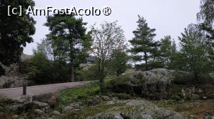 [P53]  -- <small>// FĂRĂ DESCRIERE</small> » foto by elenaadina
 - 
<span class="allrVoted glyphicon glyphicon-heart hidden" id="av1407263"></span>
<a class="m-l-10 hidden" id="sv1407263" onclick="voting_Foto_DelVot(,1407263,7893)" role="button">șterge vot <span class="glyphicon glyphicon-remove"></span></a>
<a id="v91407263" class=" c-red"  onclick="voting_Foto_SetVot(1407263)" role="button"><span class="glyphicon glyphicon-heart-empty"></span> <b>LIKE</b> = Votează poza</a> <img class="hidden"  id="f1407263W9" src="/imagini/loader.gif" border="0" /><span class="AjErrMes hidden" id="e1407263ErM"></span>