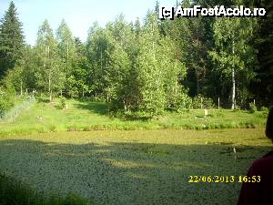 [P01] Lacul din fata pensiunii.  » foto by flrnandreea
 - 
<span class="allrVoted glyphicon glyphicon-heart hidden" id="av431460"></span>
<a class="m-l-10 hidden" id="sv431460" onclick="voting_Foto_DelVot(,431460,7904)" role="button">șterge vot <span class="glyphicon glyphicon-remove"></span></a>
<a id="v9431460" class=" c-red"  onclick="voting_Foto_SetVot(431460)" role="button"><span class="glyphicon glyphicon-heart-empty"></span> <b>LIKE</b> = Votează poza</a> <img class="hidden"  id="f431460W9" src="/imagini/loader.gif" border="0" /><span class="AjErrMes hidden" id="e431460ErM"></span>