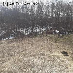 [P29] Muzeul Trovanților Costești » foto by Mioritik
 - 
<span class="allrVoted glyphicon glyphicon-heart hidden" id="av1288582"></span>
<a class="m-l-10 hidden" id="sv1288582" onclick="voting_Foto_DelVot(,1288582,7908)" role="button">șterge vot <span class="glyphicon glyphicon-remove"></span></a>
<a id="v91288582" class=" c-red"  onclick="voting_Foto_SetVot(1288582)" role="button"><span class="glyphicon glyphicon-heart-empty"></span> <b>LIKE</b> = Votează poza</a> <img class="hidden"  id="f1288582W9" src="/imagini/loader.gif" border="0" /><span class="AjErrMes hidden" id="e1288582ErM"></span>