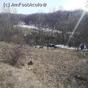 [P30] Muzeul Trovanților Costești » foto by Mioritik
 - 
<span class="allrVoted glyphicon glyphicon-heart hidden" id="av1288583"></span>
<a class="m-l-10 hidden" id="sv1288583" onclick="voting_Foto_DelVot(,1288583,7908)" role="button">șterge vot <span class="glyphicon glyphicon-remove"></span></a>
<a id="v91288583" class=" c-red"  onclick="voting_Foto_SetVot(1288583)" role="button"><span class="glyphicon glyphicon-heart-empty"></span> <b>LIKE</b> = Votează poza</a> <img class="hidden"  id="f1288583W9" src="/imagini/loader.gif" border="0" /><span class="AjErrMes hidden" id="e1288583ErM"></span>