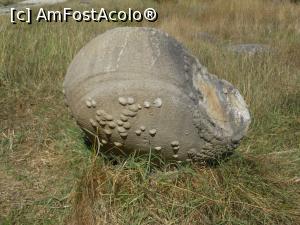 [P14] Muzeul Trovanților - Costești. Trovant sferic. » foto by iulianic
 - 
<span class="allrVoted glyphicon glyphicon-heart hidden" id="av1255336"></span>
<a class="m-l-10 hidden" id="sv1255336" onclick="voting_Foto_DelVot(,1255336,7908)" role="button">șterge vot <span class="glyphicon glyphicon-remove"></span></a>
<a id="v91255336" class=" c-red"  onclick="voting_Foto_SetVot(1255336)" role="button"><span class="glyphicon glyphicon-heart-empty"></span> <b>LIKE</b> = Votează poza</a> <img class="hidden"  id="f1255336W9" src="/imagini/loader.gif" border="0" /><span class="AjErrMes hidden" id="e1255336ErM"></span>