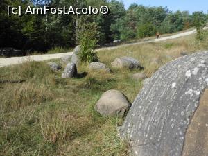 [P19] Muzeul Trovanților - Costești. Pe lângă trovanți, aleea spre ieșire. » foto by iulianic
 - 
<span class="allrVoted glyphicon glyphicon-heart hidden" id="av1255341"></span>
<a class="m-l-10 hidden" id="sv1255341" onclick="voting_Foto_DelVot(,1255341,7908)" role="button">șterge vot <span class="glyphicon glyphicon-remove"></span></a>
<a id="v91255341" class=" c-red"  onclick="voting_Foto_SetVot(1255341)" role="button"><span class="glyphicon glyphicon-heart-empty"></span> <b>LIKE</b> = Votează poza</a> <img class="hidden"  id="f1255341W9" src="/imagini/loader.gif" border="0" /><span class="AjErrMes hidden" id="e1255341ErM"></span>