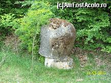 [P09]  -- <small>// FĂRĂ DESCRIERE</small> » foto by DanTal74
 - 
<span class="allrVoted glyphicon glyphicon-heart hidden" id="av430374"></span>
<a class="m-l-10 hidden" id="sv430374" onclick="voting_Foto_DelVot(,430374,7908)" role="button">șterge vot <span class="glyphicon glyphicon-remove"></span></a>
<a id="v9430374" class=" c-red"  onclick="voting_Foto_SetVot(430374)" role="button"><span class="glyphicon glyphicon-heart-empty"></span> <b>LIKE</b> = Votează poza</a> <img class="hidden"  id="f430374W9" src="/imagini/loader.gif" border="0" /><span class="AjErrMes hidden" id="e430374ErM"></span>