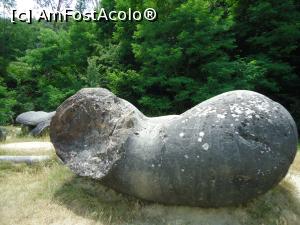 [P02] un gigant de piatra » foto by buterfly*
 - 
<span class="allrVoted glyphicon glyphicon-heart hidden" id="av907799"></span>
<a class="m-l-10 hidden" id="sv907799" onclick="voting_Foto_DelVot(,907799,7908)" role="button">șterge vot <span class="glyphicon glyphicon-remove"></span></a>
<a id="v9907799" class=" c-red"  onclick="voting_Foto_SetVot(907799)" role="button"><span class="glyphicon glyphicon-heart-empty"></span> <b>LIKE</b> = Votează poza</a> <img class="hidden"  id="f907799W9" src="/imagini/loader.gif" border="0" /><span class="AjErrMes hidden" id="e907799ErM"></span>