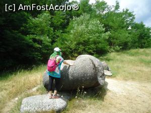 [P04] comunicand cu gigantul » foto by buterfly*
 - 
<span class="allrVoted glyphicon glyphicon-heart hidden" id="av907801"></span>
<a class="m-l-10 hidden" id="sv907801" onclick="voting_Foto_DelVot(,907801,7908)" role="button">șterge vot <span class="glyphicon glyphicon-remove"></span></a>
<a id="v9907801" class=" c-red"  onclick="voting_Foto_SetVot(907801)" role="button"><span class="glyphicon glyphicon-heart-empty"></span> <b>LIKE</b> = Votează poza</a> <img class="hidden"  id="f907801W9" src="/imagini/loader.gif" border="0" /><span class="AjErrMes hidden" id="e907801ErM"></span>