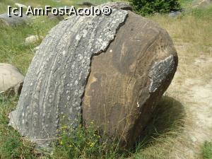 [P07] cineva i-a jupuit pielea » foto by buterfly*
 - 
<span class="allrVoted glyphicon glyphicon-heart hidden" id="av907804"></span>
<a class="m-l-10 hidden" id="sv907804" onclick="voting_Foto_DelVot(,907804,7908)" role="button">șterge vot <span class="glyphicon glyphicon-remove"></span></a>
<a id="v9907804" class=" c-red"  onclick="voting_Foto_SetVot(907804)" role="button"><span class="glyphicon glyphicon-heart-empty"></span> <b>LIKE</b> = Votează poza</a> <img class="hidden"  id="f907804W9" src="/imagini/loader.gif" border="0" /><span class="AjErrMes hidden" id="e907804ErM"></span>