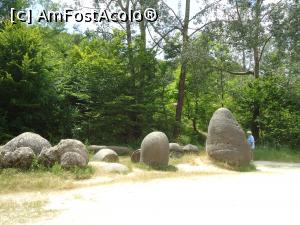 [P08] alti giganti nemiscati » foto by buterfly*
 - 
<span class="allrVoted glyphicon glyphicon-heart hidden" id="av907805"></span>
<a class="m-l-10 hidden" id="sv907805" onclick="voting_Foto_DelVot(,907805,7908)" role="button">șterge vot <span class="glyphicon glyphicon-remove"></span></a>
<a id="v9907805" class=" c-red"  onclick="voting_Foto_SetVot(907805)" role="button"><span class="glyphicon glyphicon-heart-empty"></span> <b>LIKE</b> = Votează poza</a> <img class="hidden"  id="f907805W9" src="/imagini/loader.gif" border="0" /><span class="AjErrMes hidden" id="e907805ErM"></span>