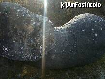 [P10] Costesti - Rezervatia Naturala Muzeul Trovantilor , un trovant sectionat » foto by magdalena
 - 
<span class="allrVoted glyphicon glyphicon-heart hidden" id="av158145"></span>
<a class="m-l-10 hidden" id="sv158145" onclick="voting_Foto_DelVot(,158145,7908)" role="button">șterge vot <span class="glyphicon glyphicon-remove"></span></a>
<a id="v9158145" class=" c-red"  onclick="voting_Foto_SetVot(158145)" role="button"><span class="glyphicon glyphicon-heart-empty"></span> <b>LIKE</b> = Votează poza</a> <img class="hidden"  id="f158145W9" src="/imagini/loader.gif" border="0" /><span class="AjErrMes hidden" id="e158145ErM"></span>