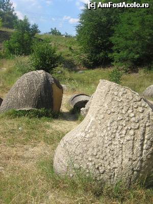 [P13] Forme ciudate rotunjite de vânt » foto by Michi
 - 
<span class="allrVoted glyphicon glyphicon-heart hidden" id="av496701"></span>
<a class="m-l-10 hidden" id="sv496701" onclick="voting_Foto_DelVot(,496701,7908)" role="button">șterge vot <span class="glyphicon glyphicon-remove"></span></a>
<a id="v9496701" class=" c-red"  onclick="voting_Foto_SetVot(496701)" role="button"><span class="glyphicon glyphicon-heart-empty"></span> <b>LIKE</b> = Votează poza</a> <img class="hidden"  id="f496701W9" src="/imagini/loader.gif" border="0" /><span class="AjErrMes hidden" id="e496701ErM"></span>
