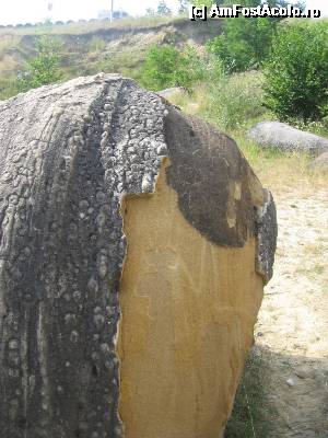 [P14] În cădere s-a desprins crusta » foto by Michi
 - 
<span class="allrVoted glyphicon glyphicon-heart hidden" id="av496702"></span>
<a class="m-l-10 hidden" id="sv496702" onclick="voting_Foto_DelVot(,496702,7908)" role="button">șterge vot <span class="glyphicon glyphicon-remove"></span></a>
<a id="v9496702" class=" c-red"  onclick="voting_Foto_SetVot(496702)" role="button"><span class="glyphicon glyphicon-heart-empty"></span> <b>LIKE</b> = Votează poza</a> <img class="hidden"  id="f496702W9" src="/imagini/loader.gif" border="0" /><span class="AjErrMes hidden" id="e496702ErM"></span>