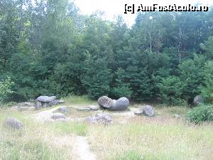 [P09] Trovanţi cu forme ciudate » foto by Michi
 - 
<span class="allrVoted glyphicon glyphicon-heart hidden" id="av496697"></span>
<a class="m-l-10 hidden" id="sv496697" onclick="voting_Foto_DelVot(,496697,7908)" role="button">șterge vot <span class="glyphicon glyphicon-remove"></span></a>
<a id="v9496697" class=" c-red"  onclick="voting_Foto_SetVot(496697)" role="button"><span class="glyphicon glyphicon-heart-empty"></span> <b>LIKE</b> = Votează poza</a> <img class="hidden"  id="f496697W9" src="/imagini/loader.gif" border="0" /><span class="AjErrMes hidden" id="e496697ErM"></span>