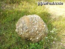 [P11] Rezervatia trovantilor - un trovant cu un alt aspect » foto by ascent
 - 
<span class="allrVoted glyphicon glyphicon-heart hidden" id="av146523"></span>
<a class="m-l-10 hidden" id="sv146523" onclick="voting_Foto_DelVot(,146523,7908)" role="button">șterge vot <span class="glyphicon glyphicon-remove"></span></a>
<a id="v9146523" class=" c-red"  onclick="voting_Foto_SetVot(146523)" role="button"><span class="glyphicon glyphicon-heart-empty"></span> <b>LIKE</b> = Votează poza</a> <img class="hidden"  id="f146523W9" src="/imagini/loader.gif" border="0" /><span class="AjErrMes hidden" id="e146523ErM"></span>