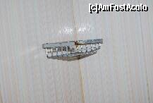 [P04]  -- <small>// FĂRĂ DESCRIERE</small> » foto by ralucas
 - 
<span class="allrVoted glyphicon glyphicon-heart hidden" id="av198414"></span>
<a class="m-l-10 hidden" id="sv198414" onclick="voting_Foto_DelVot(,198414,7915)" role="button">șterge vot <span class="glyphicon glyphicon-remove"></span></a>
<a id="v9198414" class=" c-red"  onclick="voting_Foto_SetVot(198414)" role="button"><span class="glyphicon glyphicon-heart-empty"></span> <b>LIKE</b> = Votează poza</a> <img class="hidden"  id="f198414W9" src="/imagini/loader.gif" border="0" /><span class="AjErrMes hidden" id="e198414ErM"></span>