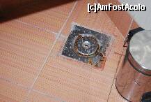 [P07]  -- <small>// FĂRĂ DESCRIERE</small> » foto by ralucas
 - 
<span class="allrVoted glyphicon glyphicon-heart hidden" id="av198421"></span>
<a class="m-l-10 hidden" id="sv198421" onclick="voting_Foto_DelVot(,198421,7915)" role="button">șterge vot <span class="glyphicon glyphicon-remove"></span></a>
<a id="v9198421" class=" c-red"  onclick="voting_Foto_SetVot(198421)" role="button"><span class="glyphicon glyphicon-heart-empty"></span> <b>LIKE</b> = Votează poza</a> <img class="hidden"  id="f198421W9" src="/imagini/loader.gif" border="0" /><span class="AjErrMes hidden" id="e198421ErM"></span>