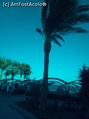 [P13]  -- <small>// FĂRĂ DESCRIERE</small> » foto by ile57b
 - 
<span class="allrVoted glyphicon glyphicon-heart hidden" id="av1082570"></span>
<a class="m-l-10 hidden" id="sv1082570" onclick="voting_Foto_DelVot(,1082570,7915)" role="button">șterge vot <span class="glyphicon glyphicon-remove"></span></a>
<a id="v91082570" class=" c-red"  onclick="voting_Foto_SetVot(1082570)" role="button"><span class="glyphicon glyphicon-heart-empty"></span> <b>LIKE</b> = Votează poza</a> <img class="hidden"  id="f1082570W9" src="/imagini/loader.gif" border="0" /><span class="AjErrMes hidden" id="e1082570ErM"></span>