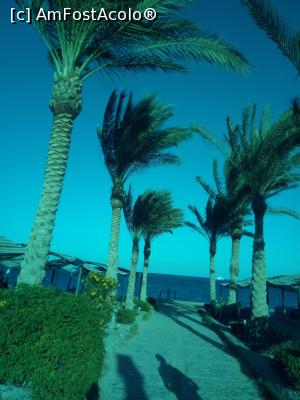 [P15]  -- <small>// FĂRĂ DESCRIERE</small> » foto by ile57b
 - 
<span class="allrVoted glyphicon glyphicon-heart hidden" id="av1082572"></span>
<a class="m-l-10 hidden" id="sv1082572" onclick="voting_Foto_DelVot(,1082572,7915)" role="button">șterge vot <span class="glyphicon glyphicon-remove"></span></a>
<a id="v91082572" class=" c-red"  onclick="voting_Foto_SetVot(1082572)" role="button"><span class="glyphicon glyphicon-heart-empty"></span> <b>LIKE</b> = Votează poza</a> <img class="hidden"  id="f1082572W9" src="/imagini/loader.gif" border="0" /><span class="AjErrMes hidden" id="e1082572ErM"></span>