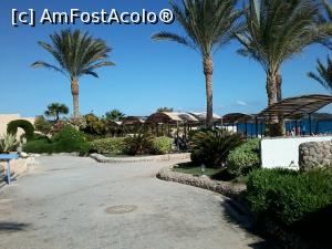 [P03]  -- <small>// FĂRĂ DESCRIERE</small> » foto by ile57b
 - 
<span class="allrVoted glyphicon glyphicon-heart hidden" id="av1082560"></span>
<a class="m-l-10 hidden" id="sv1082560" onclick="voting_Foto_DelVot(,1082560,7915)" role="button">șterge vot <span class="glyphicon glyphicon-remove"></span></a>
<a id="v91082560" class=" c-red"  onclick="voting_Foto_SetVot(1082560)" role="button"><span class="glyphicon glyphicon-heart-empty"></span> <b>LIKE</b> = Votează poza</a> <img class="hidden"  id="f1082560W9" src="/imagini/loader.gif" border="0" /><span class="AjErrMes hidden" id="e1082560ErM"></span>