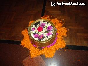 [P47] bun venit la restaurantul de 5 stele » foto by buterfly*
 - 
<span class="allrVoted glyphicon glyphicon-heart hidden" id="av508302"></span>
<a class="m-l-10 hidden" id="sv508302" onclick="voting_Foto_DelVot(,508302,7929)" role="button">șterge vot <span class="glyphicon glyphicon-remove"></span></a>
<a id="v9508302" class=" c-red"  onclick="voting_Foto_SetVot(508302)" role="button"><span class="glyphicon glyphicon-heart-empty"></span> <b>LIKE</b> = Votează poza</a> <img class="hidden"  id="f508302W9" src="/imagini/loader.gif" border="0" /><span class="AjErrMes hidden" id="e508302ErM"></span>