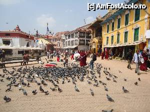 [P18] calugari hranind porumbei » foto by buterfly*
 - 
<span class="allrVoted glyphicon glyphicon-heart hidden" id="av510021"></span>
<a class="m-l-10 hidden" id="sv510021" onclick="voting_Foto_DelVot(,510021,7929)" role="button">șterge vot <span class="glyphicon glyphicon-remove"></span></a>
<a id="v9510021" class=" c-red"  onclick="voting_Foto_SetVot(510021)" role="button"><span class="glyphicon glyphicon-heart-empty"></span> <b>LIKE</b> = Votează poza</a> <img class="hidden"  id="f510021W9" src="/imagini/loader.gif" border="0" /><span class="AjErrMes hidden" id="e510021ErM"></span>