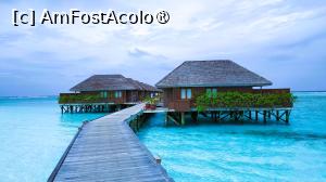 [P48] <strong>Meeru Island Resort & Spa, vilele pe apa</strong> » foto by elenaadina
 - 
<span class="allrVoted glyphicon glyphicon-heart hidden" id="av1421132"></span>
<a class="m-l-10 hidden" id="sv1421132" onclick="voting_Foto_DelVot(,1421132,7942)" role="button">șterge vot <span class="glyphicon glyphicon-remove"></span></a>
<a id="v91421132" class=" c-red"  onclick="voting_Foto_SetVot(1421132)" role="button"><span class="glyphicon glyphicon-heart-empty"></span> <b>LIKE</b> = Votează poza</a> <img class="hidden"  id="f1421132W9" src="/imagini/loader.gif" border="0" /><span class="AjErrMes hidden" id="e1421132ErM"></span>