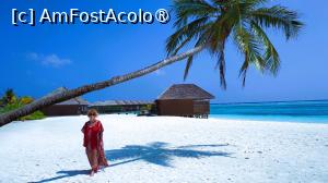 [P63] <strong>Meeru Island Resort & Spa</strong> » foto by elenaadina
 - 
<span class="allrVoted glyphicon glyphicon-heart hidden" id="av1421147"></span>
<a class="m-l-10 hidden" id="sv1421147" onclick="voting_Foto_DelVot(,1421147,7942)" role="button">șterge vot <span class="glyphicon glyphicon-remove"></span></a>
<a id="v91421147" class=" c-red"  onclick="voting_Foto_SetVot(1421147)" role="button"><span class="glyphicon glyphicon-heart-empty"></span> <b>LIKE</b> = Votează poza</a> <img class="hidden"  id="f1421147W9" src="/imagini/loader.gif" border="0" /><span class="AjErrMes hidden" id="e1421147ErM"></span>