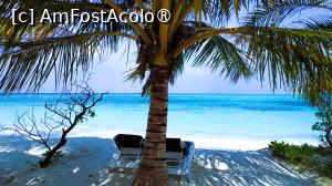 [P68] <strong>Meeru Island Resort & Spa</strong> » foto by elenaadina
 - 
<span class="allrVoted glyphicon glyphicon-heart hidden" id="av1421152"></span>
<a class="m-l-10 hidden" id="sv1421152" onclick="voting_Foto_DelVot(,1421152,7942)" role="button">șterge vot <span class="glyphicon glyphicon-remove"></span></a>
<a id="v91421152" class=" c-red"  onclick="voting_Foto_SetVot(1421152)" role="button"><span class="glyphicon glyphicon-heart-empty"></span> <b>LIKE</b> = Votează poza</a> <img class="hidden"  id="f1421152W9" src="/imagini/loader.gif" border="0" /><span class="AjErrMes hidden" id="e1421152ErM"></span>