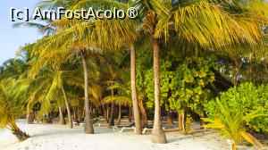 [P70] <strong>Meeru Island Resort & Spa</strong> » foto by elenaadina
 - 
<span class="allrVoted glyphicon glyphicon-heart hidden" id="av1421154"></span>
<a class="m-l-10 hidden" id="sv1421154" onclick="voting_Foto_DelVot(,1421154,7942)" role="button">șterge vot <span class="glyphicon glyphicon-remove"></span></a>
<a id="v91421154" class=" c-red"  onclick="voting_Foto_SetVot(1421154)" role="button"><span class="glyphicon glyphicon-heart-empty"></span> <b>LIKE</b> = Votează poza</a> <img class="hidden"  id="f1421154W9" src="/imagini/loader.gif" border="0" /><span class="AjErrMes hidden" id="e1421154ErM"></span>