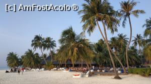 [P71] <strong>Meeru Island Resort & Spa</strong> » foto by elenaadina
 - 
<span class="allrVoted glyphicon glyphicon-heart hidden" id="av1421155"></span>
<a class="m-l-10 hidden" id="sv1421155" onclick="voting_Foto_DelVot(,1421155,7942)" role="button">șterge vot <span class="glyphicon glyphicon-remove"></span></a>
<a id="v91421155" class=" c-red"  onclick="voting_Foto_SetVot(1421155)" role="button"><span class="glyphicon glyphicon-heart-empty"></span> <b>LIKE</b> = Votează poza</a> <img class="hidden"  id="f1421155W9" src="/imagini/loader.gif" border="0" /><span class="AjErrMes hidden" id="e1421155ErM"></span>