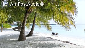 [P30]  -- <small>// FĂRĂ DESCRIERE</small> » foto by elenaadina
 - 
<span class="allrVoted glyphicon glyphicon-heart hidden" id="av1524056"></span>
<a class="m-l-10 hidden" id="sv1524056" onclick="voting_Foto_DelVot(,1524056,7942)" role="button">șterge vot <span class="glyphicon glyphicon-remove"></span></a>
<a id="v91524056" class=" c-red"  onclick="voting_Foto_SetVot(1524056)" role="button"><span class="glyphicon glyphicon-heart-empty"></span> <b>LIKE</b> = Votează poza</a> <img class="hidden"  id="f1524056W9" src="/imagini/loader.gif" border="0" /><span class="AjErrMes hidden" id="e1524056ErM"></span>