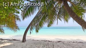 [P34]  -- <small>// FĂRĂ DESCRIERE</small> » foto by elenaadina
 - 
<span class="allrVoted glyphicon glyphicon-heart hidden" id="av1524060"></span>
<a class="m-l-10 hidden" id="sv1524060" onclick="voting_Foto_DelVot(,1524060,7942)" role="button">șterge vot <span class="glyphicon glyphicon-remove"></span></a>
<a id="v91524060" class=" c-red"  onclick="voting_Foto_SetVot(1524060)" role="button"><span class="glyphicon glyphicon-heart-empty"></span> <b>LIKE</b> = Votează poza</a> <img class="hidden"  id="f1524060W9" src="/imagini/loader.gif" border="0" /><span class="AjErrMes hidden" id="e1524060ErM"></span>