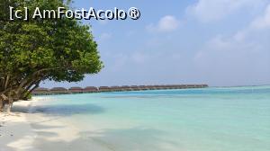 [P35]  -- <small>// FĂRĂ DESCRIERE</small> » foto by elenaadina
 - 
<span class="allrVoted glyphicon glyphicon-heart hidden" id="av1524061"></span>
<a class="m-l-10 hidden" id="sv1524061" onclick="voting_Foto_DelVot(,1524061,7942)" role="button">șterge vot <span class="glyphicon glyphicon-remove"></span></a>
<a id="v91524061" class=" c-red"  onclick="voting_Foto_SetVot(1524061)" role="button"><span class="glyphicon glyphicon-heart-empty"></span> <b>LIKE</b> = Votează poza</a> <img class="hidden"  id="f1524061W9" src="/imagini/loader.gif" border="0" /><span class="AjErrMes hidden" id="e1524061ErM"></span>